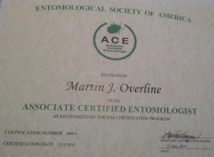 Marty Ace Cert (2)