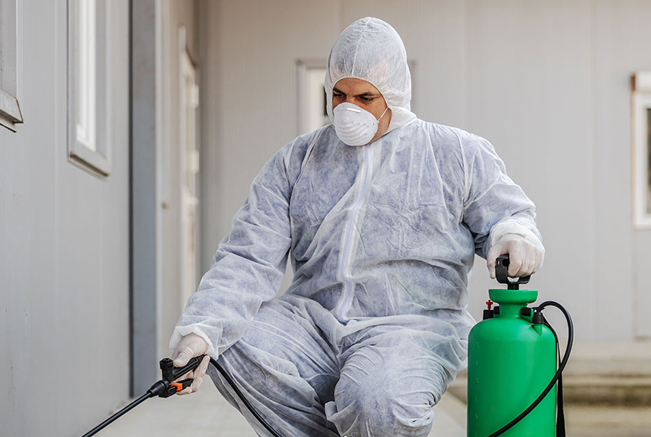 Bed bug inspection