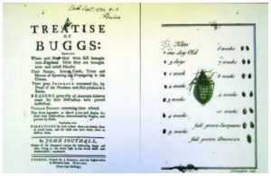 Treatise on Bedbugs